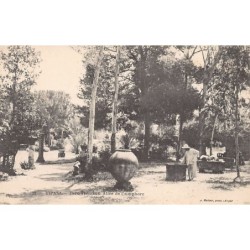 Rare collectable postcards of ALGERIA. Vintage Postcards of ALGERIA