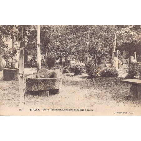 Rare collectable postcards of ALGERIA. Vintage Postcards of ALGERIA