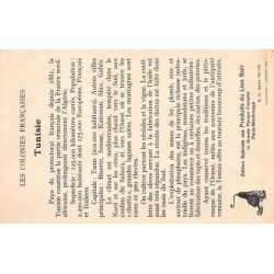 Rare collectable postcards of TUNISIA. Vintage Postcards of TUNISIA