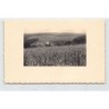 Rare collectable postcards of GERMANY Deutschland. Vintage Postcards of GERMANY Deutschland