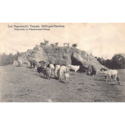 Rare collectable postcards of GERMANY Deutschland. Vintage Postcards of GERMANY Deutschland