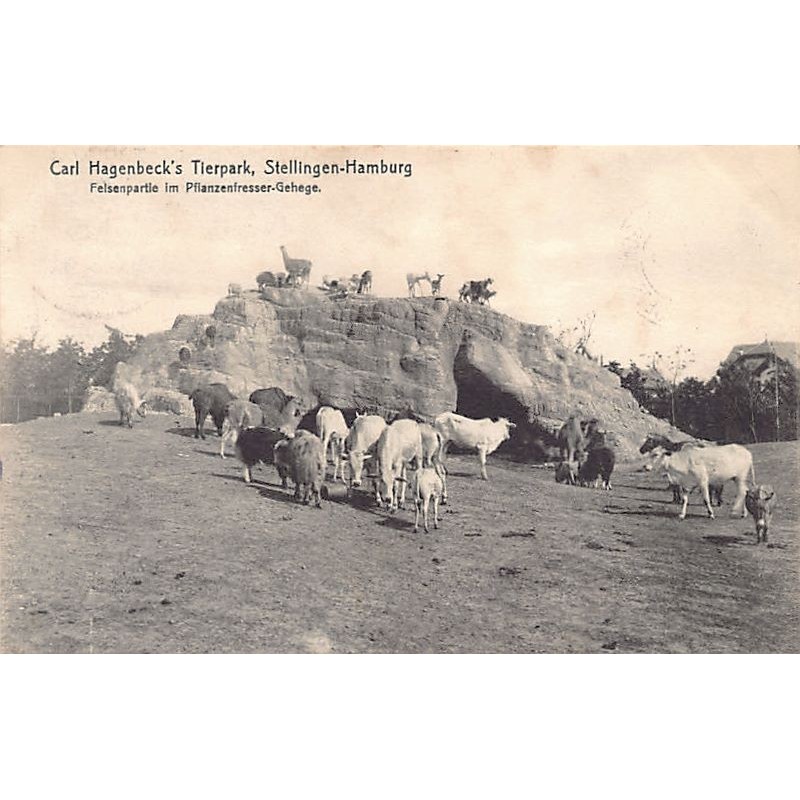 Rare collectable postcards of GERMANY Deutschland. Vintage Postcards of GERMANY Deutschland
