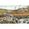Rare collectable postcards of CUBA. Vintage Postcards of CUBA