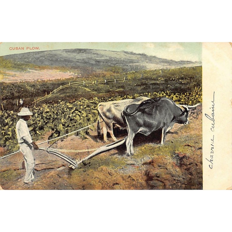 Rare collectable postcards of CUBA. Vintage Postcards of CUBA