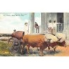 Rare collectable postcards of CUBA. Vintage Postcards of CUBA