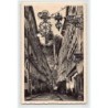 Rare collectable postcards of AUSTRIA. Vintage Postcards of AUSTRIA
