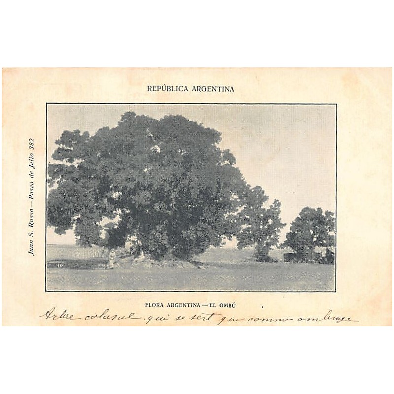 Rare collectable postcards of ARGENTINA. Vintage Postcards of ARGENTINA