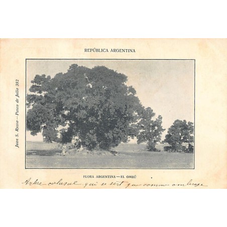 Rare collectable postcards of ARGENTINA. Vintage Postcards of ARGENTINA