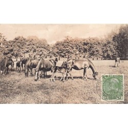 Rare collectable postcards of CZECH REPUBLIC. Vintage Postcards of CZECH REPUBLIC