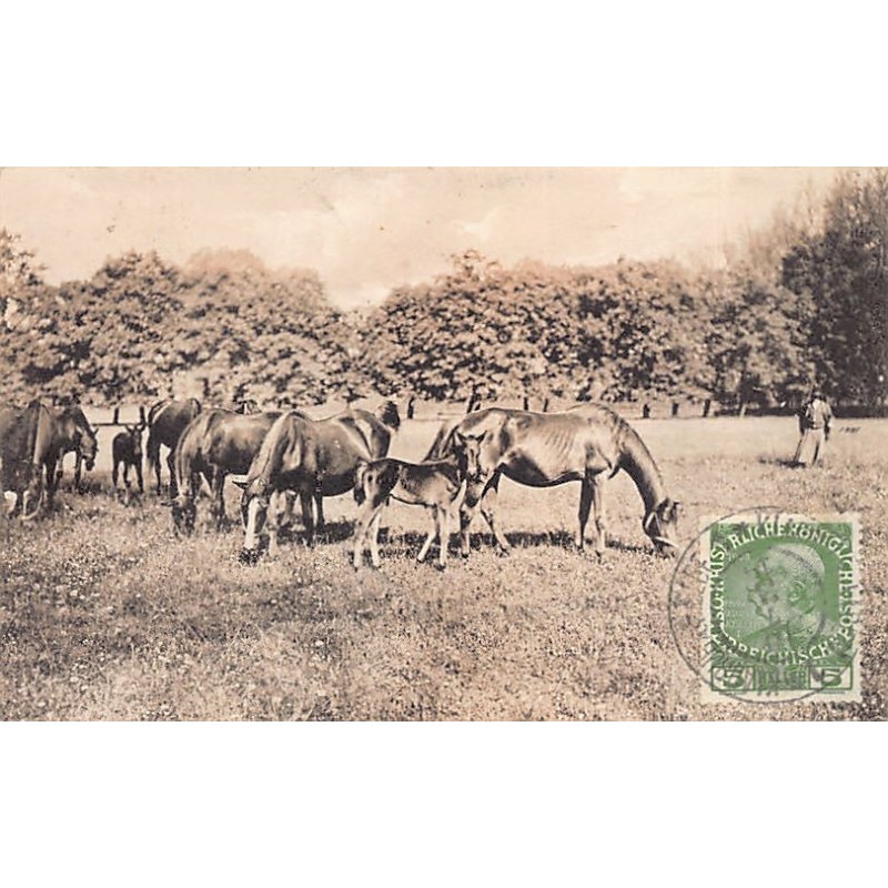 Rare collectable postcards of CZECH REPUBLIC. Vintage Postcards of CZECH REPUBLIC