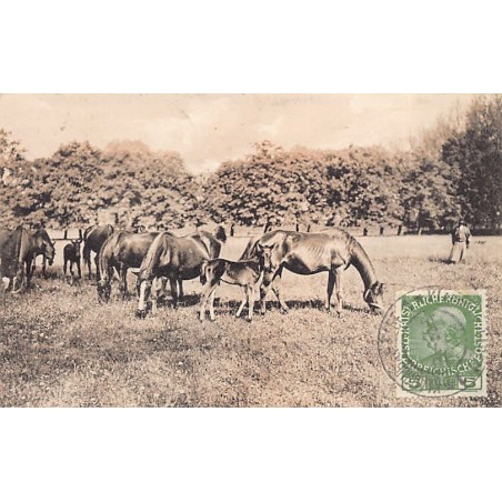 Rare collectable postcards of CZECH REPUBLIC. Vintage Postcards of CZECH REPUBLIC