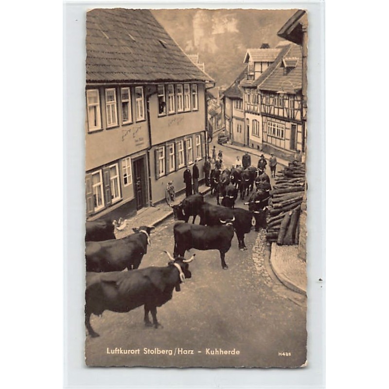 Rare collectable postcards of GERMANY Deutschland. Vintage Postcards of GERMANY Deutschland