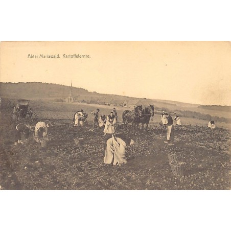 Rare collectable postcards of GERMANY Deutschland. Vintage Postcards of GERMANY Deutschland