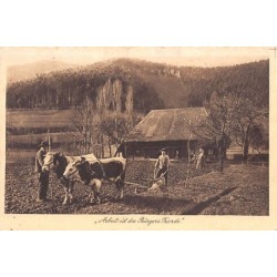 Rare collectable postcards of GERMANY Deutschland. Vintage Postcards of GERMANY Deutschland