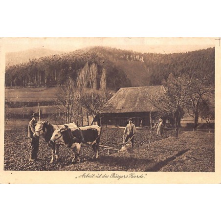 Rare collectable postcards of GERMANY Deutschland. Vintage Postcards of GERMANY Deutschland