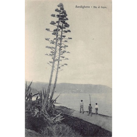 Rare collectable postcards of ITALY Italia. Vintage Postcards of ITALY Italia