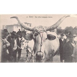 Rare collectable postcards of ITALY Italia. Vintage Postcards of ITALY Italia