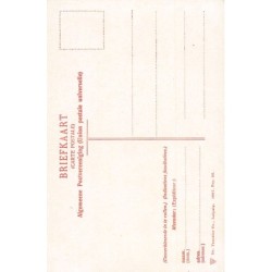 Rare collectable postcards of NETHERLANDS Nederland. Vintage Postcards of NETHERLANDS Nederland