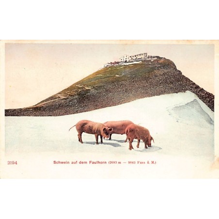 Rare collectable postcards of SWITZERLAND Schweiz Suisse Svizzera. Vintage Postcards of SWITZERLAND Schweiz Suisse Svizzera