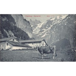 Rare collectable postcards of SWITZERLAND Schweiz Suisse Svizzera. Vintage Postcards of SWITZERLAND Schweiz Suisse Svizzera