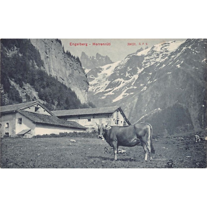 Rare collectable postcards of SWITZERLAND Schweiz Suisse Svizzera. Vintage Postcards of SWITZERLAND Schweiz Suisse Svizzera