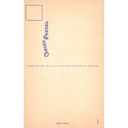 Rare collectable postcards of BRAZIL. Vintage Postcards of BRAZIL