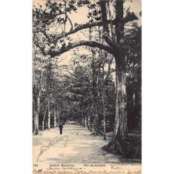 Rare collectable postcards of BRAZIL. Vintage Postcards of BRAZIL