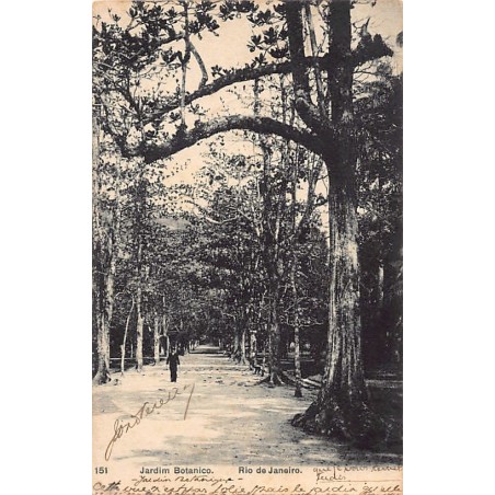 Rare collectable postcards of BRAZIL. Vintage Postcards of BRAZIL