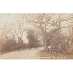 Rare collectable postcards of ENGLAND. Vintage Postcards of ENGLAND