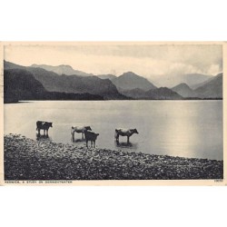 Rare collectable postcards of ENGLAND. Vintage Postcards of ENGLAND