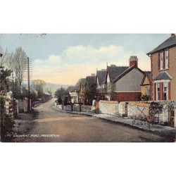 Rare collectable postcards of WALES. Vintage Postcards of WALES