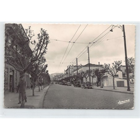 Rare collectable postcards of ALGERIA Algérie. Vintage Postcards of ALGERIA Algérie