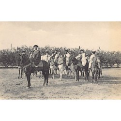 Rare collectable postcards of ALGERIA Algérie. Vintage Postcards of ALGERIA Algérie