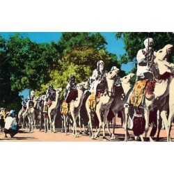 Rare collectable postcards of ALGERIA Algérie. Vintage Postcards of ALGERIA Algérie