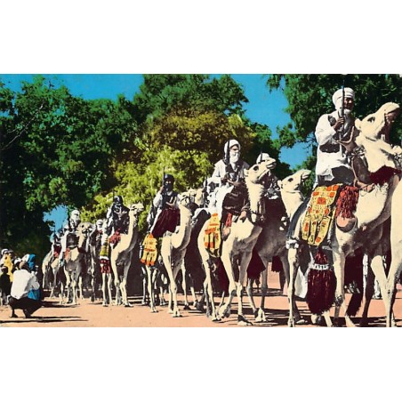 Rare collectable postcards of ALGERIA Algérie. Vintage Postcards of ALGERIA Algérie