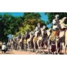 Rare collectable postcards of ALGERIA Algérie. Vintage Postcards of ALGERIA Algérie