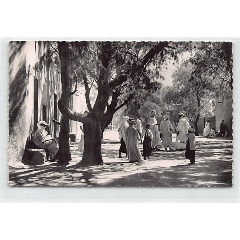 Rare collectable postcards of ALGERIA Algérie. Vintage Postcards of ALGERIA Algérie