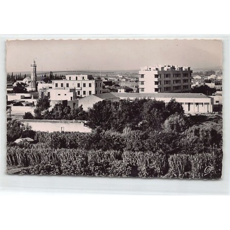 Rare collectable postcards of ALGERIA Algérie. Vintage Postcards of ALGERIA Algérie