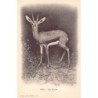 Rare collectable postcards of ALGERIA Algérie. Vintage Postcards of ALGERIA Algérie