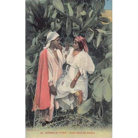 Rare collectable postcards of ALGERIA Algérie. Vintage Postcards of ALGERIA Algérie