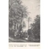 Rare collectable postcards of ALGERIA Algérie. Vintage Postcards of ALGERIA Algérie