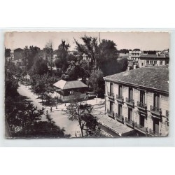 Rare collectable postcards of ALGERIA Algérie. Vintage Postcards of ALGERIA Algérie