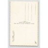 Rare collectable postcards of ALGERIA Algérie. Vintage Postcards of ALGERIA Algérie