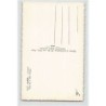 Rare collectable postcards of ALGERIA Algérie. Vintage Postcards of ALGERIA Algérie