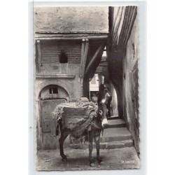 Rare collectable postcards of ALGERIA Algérie. Vintage Postcards of ALGERIA Algérie