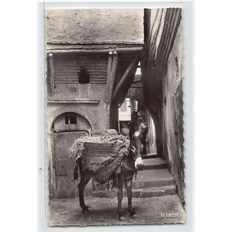 Rare collectable postcards of ALGERIA Algérie. Vintage Postcards of ALGERIA Algérie