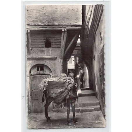 Rare collectable postcards of ALGERIA Algérie. Vintage Postcards of ALGERIA Algérie