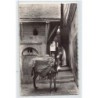 Rare collectable postcards of ALGERIA Algérie. Vintage Postcards of ALGERIA Algérie