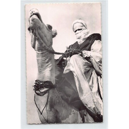 Rare collectable postcards of ALGERIA Algérie. Vintage Postcards of ALGERIA Algérie