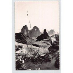 Rare collectable postcards of ALGERIA Algérie. Vintage Postcards of ALGERIA Algérie